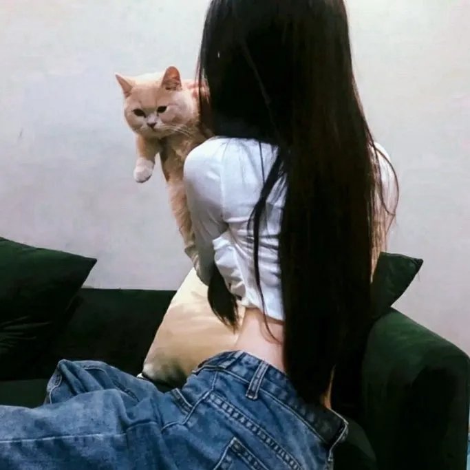 超越巴肯记录